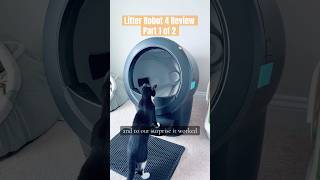 Litter Robot 4 Review after nearly 3 months of use with 2 cats Part1 [upl. by Levram]