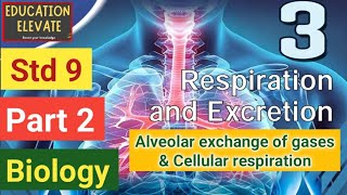 Class 9  Biology  Unit 3  Respiration and Excretion  Part 2 [upl. by Asenab]