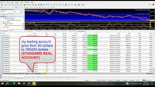 Automated Trading FX AND CRYPTO from 50 dollars UP TO 785000 Dollars  Metatrader 4 5 [upl. by Erdnuaed627]