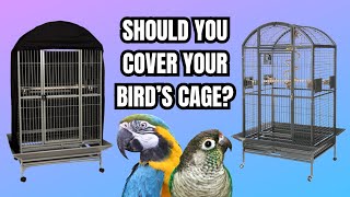 Should You Cover Your Birds Cage at Night  Parrot Sleep and Cage Covering  BirdNerdSophie [upl. by Onibas212]