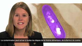 Les risques que fait courir Listeria Monocytogenes [upl. by Attelrahs]