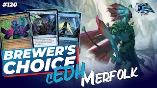 Are Merfolk cEDH Viable Now  Brewers Choice [upl. by Yaj]