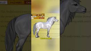 top 3 smallest horse breed short viral [upl. by Towers]