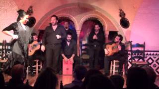 Flamenco Barcelona  Belén López TablaoCordobes BEST FLAMENCO [upl. by Arelus274]