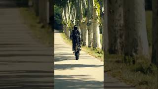 Yamaha MT09 Top Speed amp Epic Wheelie Action  Ultimate Adrenaline Rush r6 mt09 bikelife short [upl. by Siraved]