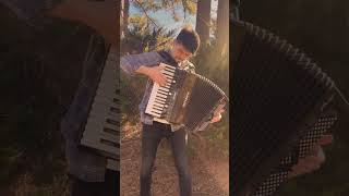 Chopin on Accordion A Journey Through Nocturne No 20 in C Minor [upl. by Zoellick555]