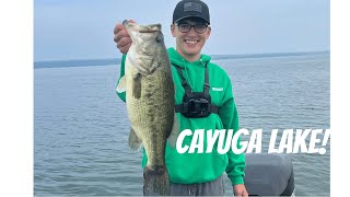 Cayuga Lake Topwater Fishing [upl. by Cramer137]