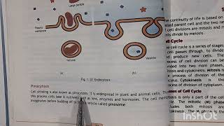 Endocytosis and Exocytosis Class 11 Federal Board Biology [upl. by Harrell7]