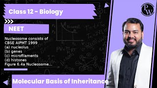 Nucleosome consists of CBSE AIPMT 1999 a nucleolus b genes c microfilaments d histones Fi [upl. by Pape]