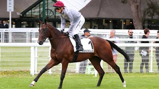 WOODSHAUNA wins the 2024 Prix Nonoalco [upl. by Hafital786]