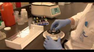 Medical Laboratory Sciences program College of the North Atlantic [upl. by Lorusso]