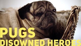 Pugs  Disowned Heroes 2011 [upl. by Awram]