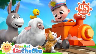 Animales en el Chu Chu Tren  Sonidos de Animales  LiaChaCha en Español  Canciones Infantiles [upl. by Attekal]