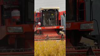 Dashmesh 9100 combine harvester combine dasmeshcombine trending shorts [upl. by Noremak]