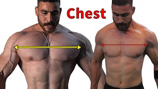 7 Exercises To Build A Big Chest Fast Chest Workout [upl. by Ashia]