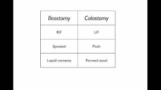 Stomas What they are and how to tell them apart [upl. by Annyl]