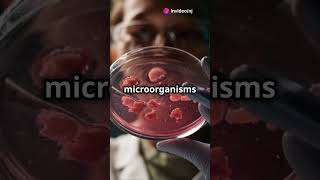 Can microorganisms spontaneously generate [upl. by Enayr]