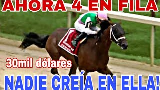 NADIE CREÍA EN ESTA CAMPEONA hipismo ultimahora AHORA 4 GRADOS SEGUIDOS hipicatv [upl. by Wiley786]