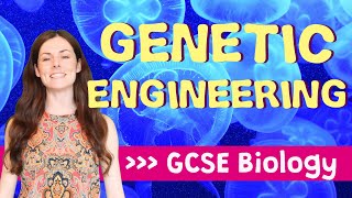 GENETIC ENGINEERING GCSE Biology 91  Combined Revision amp Qs [upl. by Anelra]