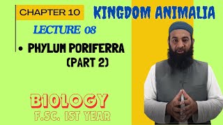 Porifera part 2 The Most Primitive Animals I Chapter 10 I FSc I First Year I biology I Lec 2 [upl. by Giacopo]