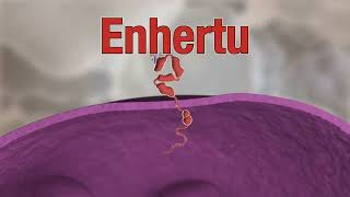 METASTATIC BREAST CANCER ENHERTU STOPS THE SPREAD [upl. by Neros]