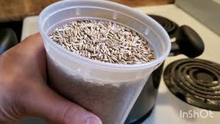 How to make grain spawn using the instant pot [upl. by Erdman]