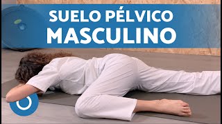 EJERCICIOS para SUELO PÉLVICO en HOMBRES 🧔🏽‍♂️ ¿Suelo Pélvico Hombres Dónde se Encuentra [upl. by Lledrev12]