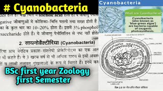 Cyanobacteria in hindi  BSc first year Zoology first Semester [upl. by Clevie]