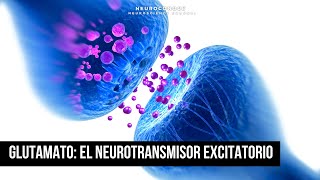 Glutamato El Neurotransmisor excitatorio que impulsa la comunicación cerebral de forma crucial [upl. by Wolk]