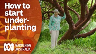 How to start underplanting in your garden  Garden Design and Inspiration  Gardening Australia [upl. by Hilario]