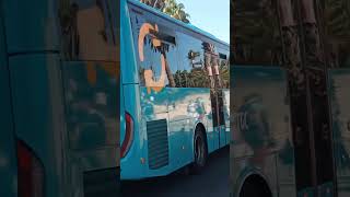 1905  1673  1860  1670  1508 y 1770  Global Salcai  Utinsa bus [upl. by Opportuna]