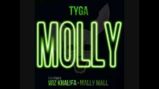 Molly  Tyga Ft Wiz Khalifa amp Mally Mall [upl. by Yennej]