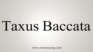 How To Say Taxus Baccata [upl. by Sitra713]