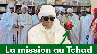 Tchad  Tout ce quil faut savoir sur la délégation du Khalife Mondial de la Fayda Tijaniyya [upl. by Bank]