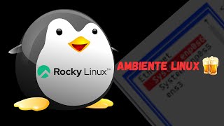 ROCKY LINUX  GERENCIANDO INTERFACES [upl. by Anirdnajela867]