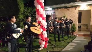 MARIACHI EN VILLAS DE SAN JOSE TULTITLAN Tel 5540550891 [upl. by Ardnuassac]