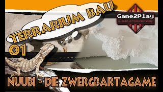 Nuubi  die Zwergbartagame  01  TerrariumBau [upl. by Vittoria]