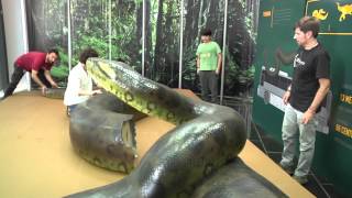 LLegó la Titanoboa a Uninorte [upl. by Wat]