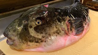 【FUGU】LE PLUS GROS POISSON MORTEL DU JOUR AU MARCHÉ TOYOSU [upl. by Natale968]