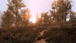 Skyrim SE Graphics  Mod List PC [upl. by Nahgeam500]