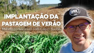 Semeando pastagem de verão Milheto ADR 500 consorciado com Capim Sudão BRS Estribo [upl. by Ellerahc]