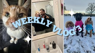 Snow days vets amp training Weekly Vlog 3 [upl. by Teirrah]