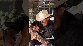 Los andares de Alfredo MiguelMontoya music regionalmexicano mexico reels [upl. by Regdirb]