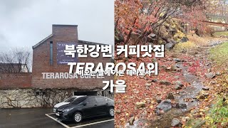 테라로사서종의 가을 fall of TERAROSA [upl. by Nima]