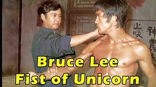 Bruce Lee vs MMA Fighters  Can Bruce Lee Survive in UFC [upl. by Redmund]