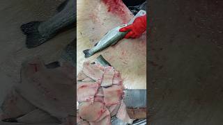 Filleting Fish Trout [upl. by Iosep119]