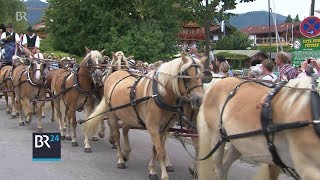 Rosstag in Rottach  Pferde Kutschen und Gespanne am Tegernsee  BR24 [upl. by Abramo277]