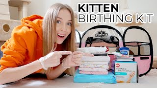 HOW TO PREPARE FOR CAT BIRTH A Home Birthing Kit To Help Deliver Kittens Safely [upl. by Khajeh]