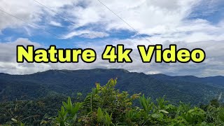 Gods own country 4k video travel keralatourism kerala [upl. by Doralin]