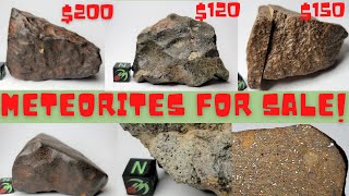 Meteorites for Sale Unclassified  Buy Real Meteorites from Space Three NWA Chondrite Meteorites [upl. by Worth]